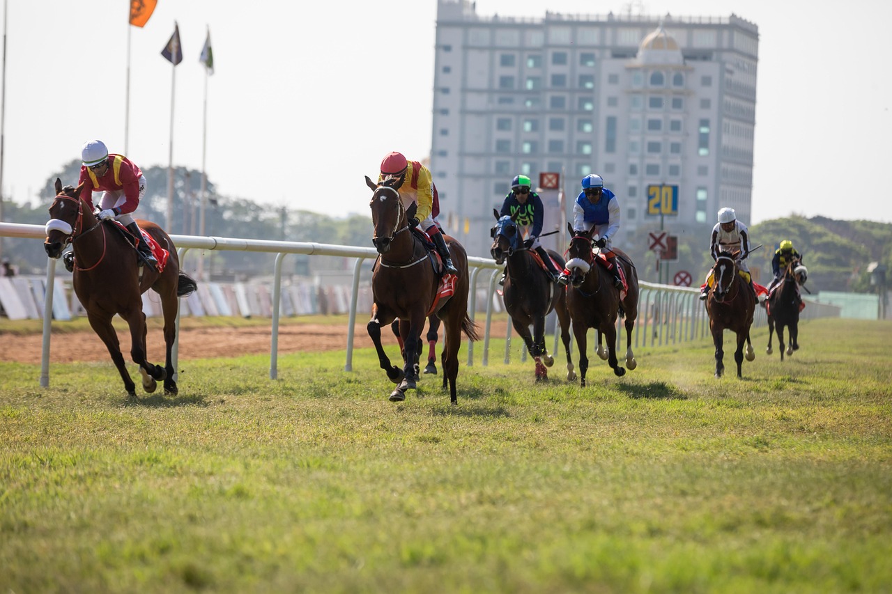 horse racing egr awards 2025 12bet casino